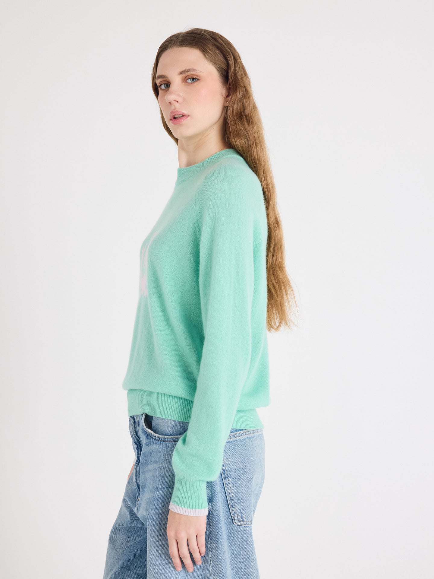 hailey round neck sweater - cashmere - cactus