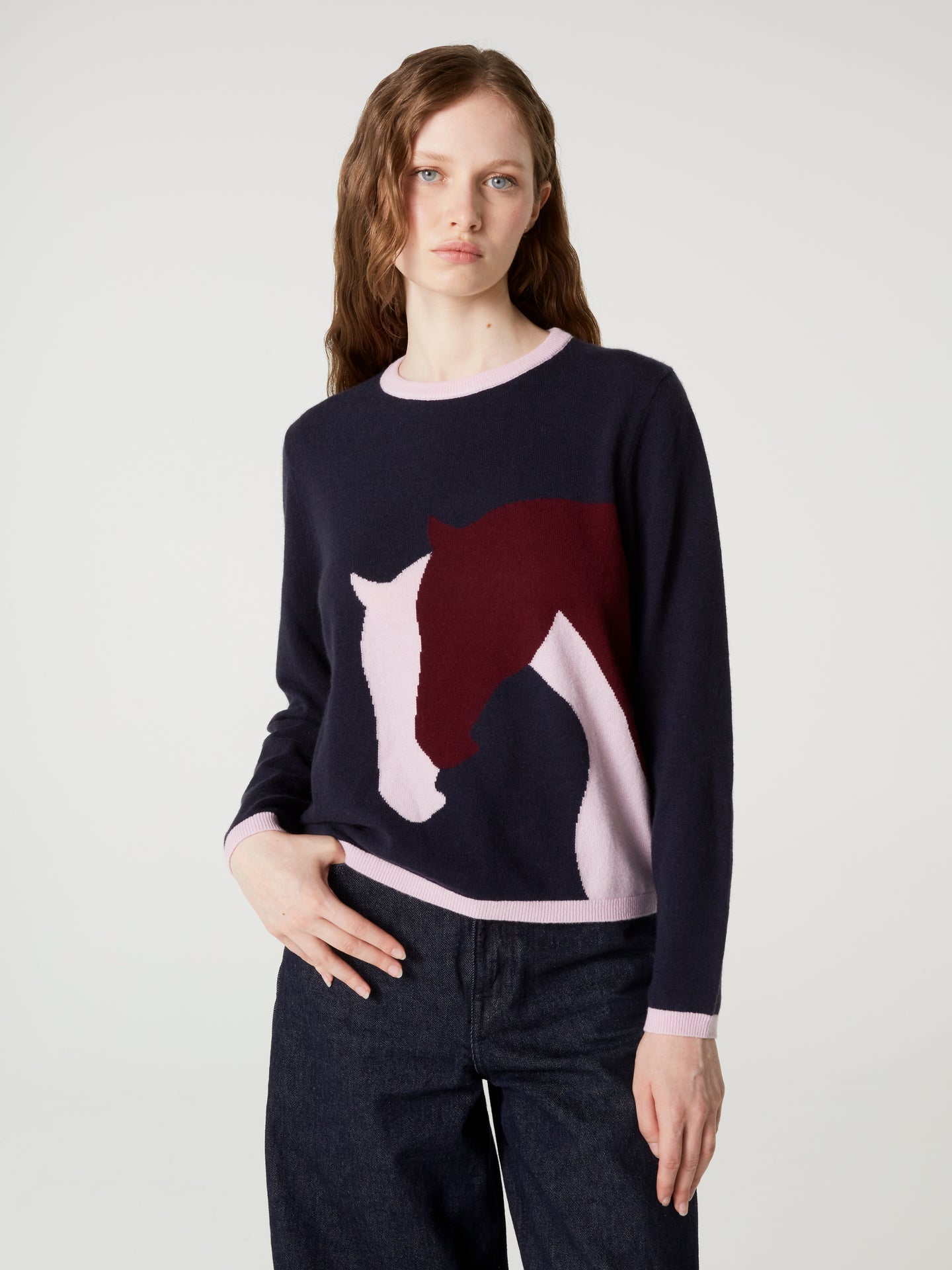 pull haras - Cachemire - navy